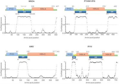 MNDA, a PYHIN factor involved in transcriptional regulation and apoptosis control in leukocytes